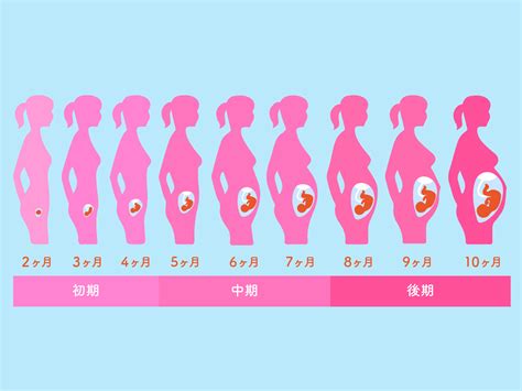 妊娠初期（妊娠成立～15週）の症状と過ごし方、気を。